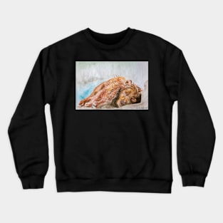 MISA’S ORIGINAL ART “AWESOME PETS” Crewneck Sweatshirt